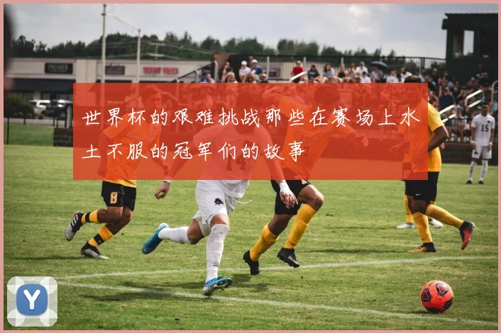 世界杯的艰难挑战那些在赛场上水土不服的冠军们的故事