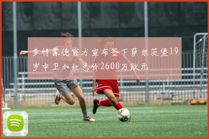 多特蒙德官方宣布签下萨尔茨堡19岁中卫加杜总价2600万欧元