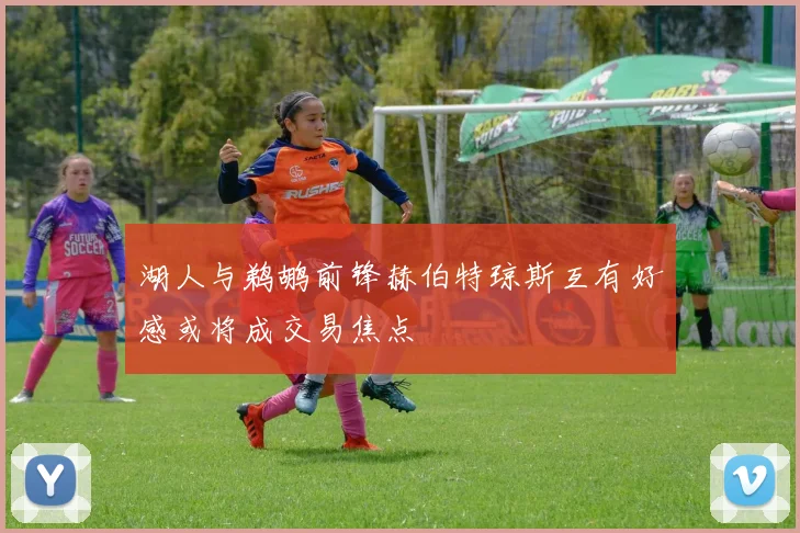 湖人与鹈鹕前锋赫伯特琼斯互有好感或将成交易焦点